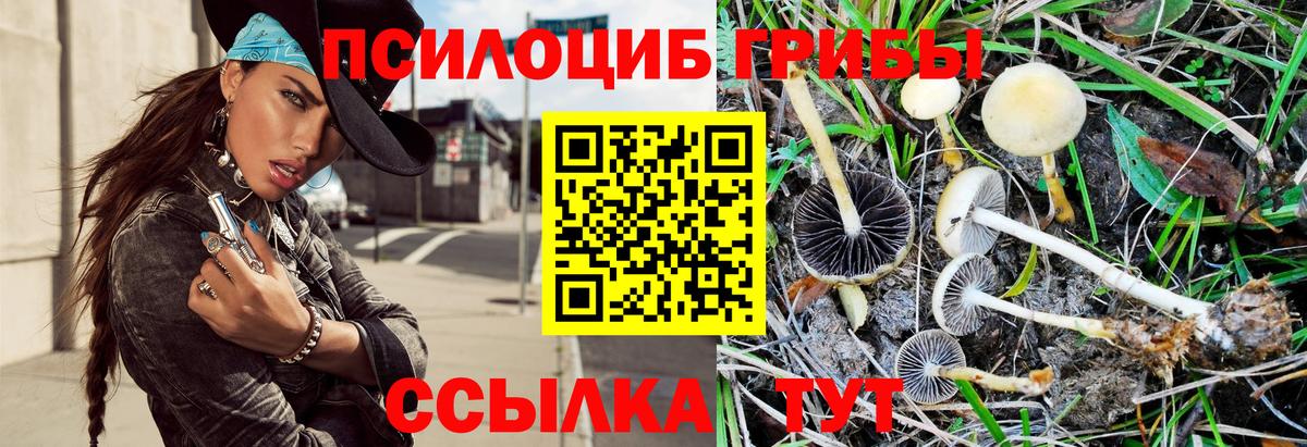 Галлюциногенные грибы мухоморы  Псилоцибиновые грибы MAGIC MUSHROOMS  Рассказово  Вход с VPN 