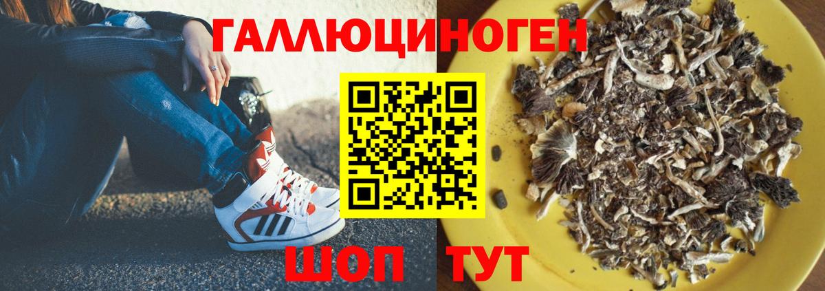Галлюциногенные грибы Magic Shrooms Рассказово
